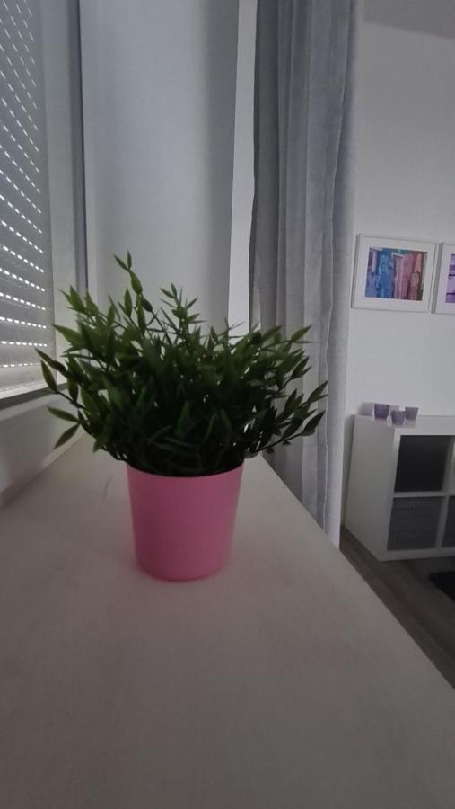 Appartement Lavendel, Ferienwohnung Mit Eigenem Eingang Wie Ein Kleines Haus Bad Salzuflen Exterior foto